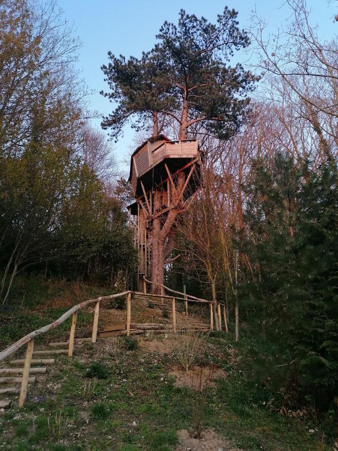 Sherwood Tree Etretat Exterior photo